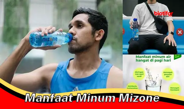 manfaat minum mizone