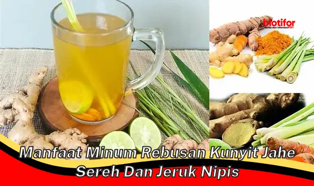 Temukan 5 Manfaat Minum Rebusan Kunyit Jahe Sereh Dan Jeruk Nipis Yang