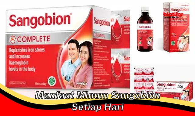 manfaat minum sangobion setiap hari