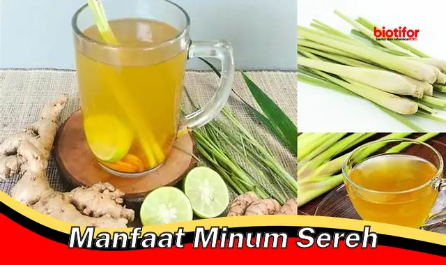 manfaat minum sereh