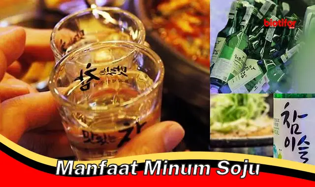 manfaat minum soju