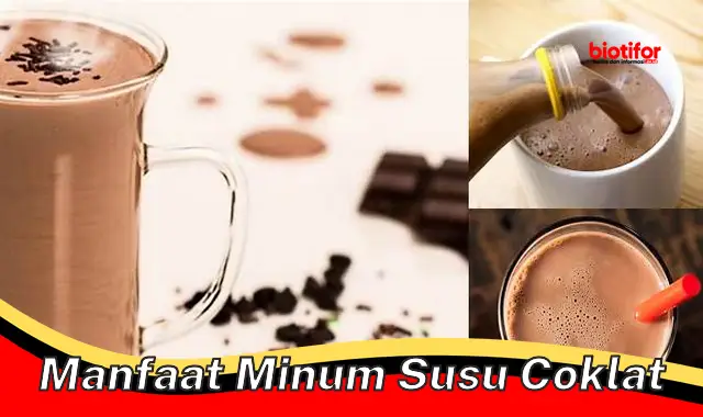 manfaat minum susu coklat