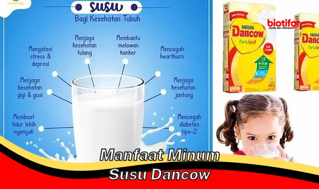 manfaat minum susu dancow