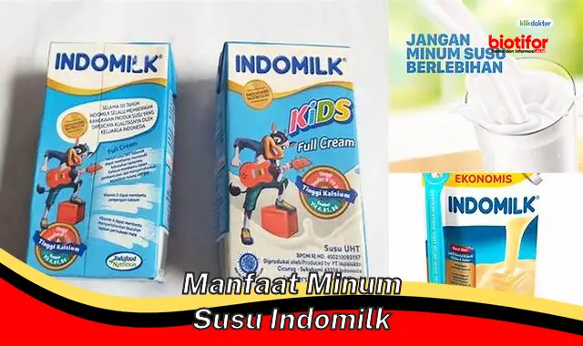 manfaat minum susu indomilk