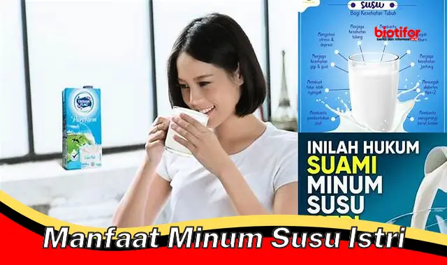 manfaat minum susu istri