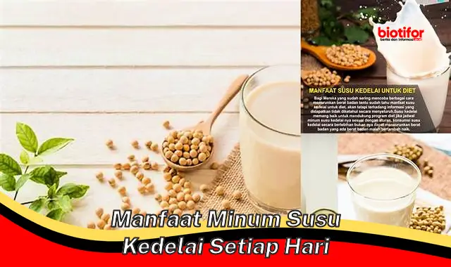 manfaat minum susu kedelai setiap hari