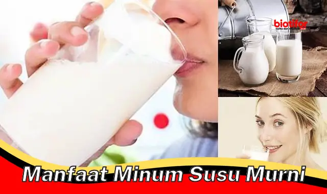 manfaat minum susu murni