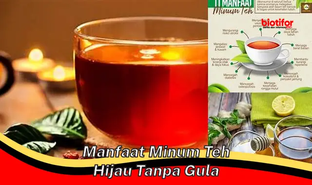 Temukan 5 Manfaat Teh Hijau Tanpa Gula yang Jarang Diketahui - Biotifor