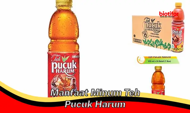 manfaat minum teh pucuk harum