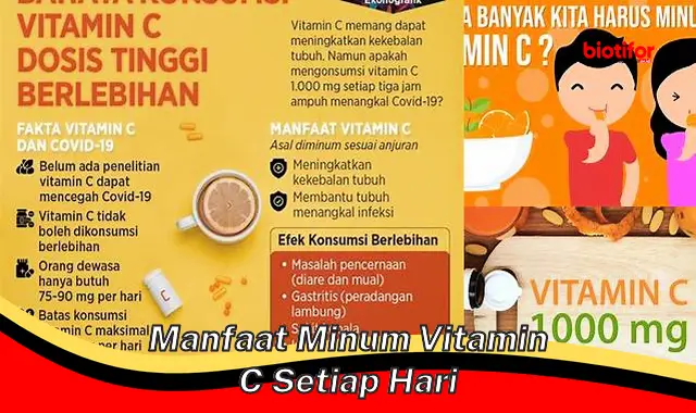 manfaat minum vitamin c setiap hari