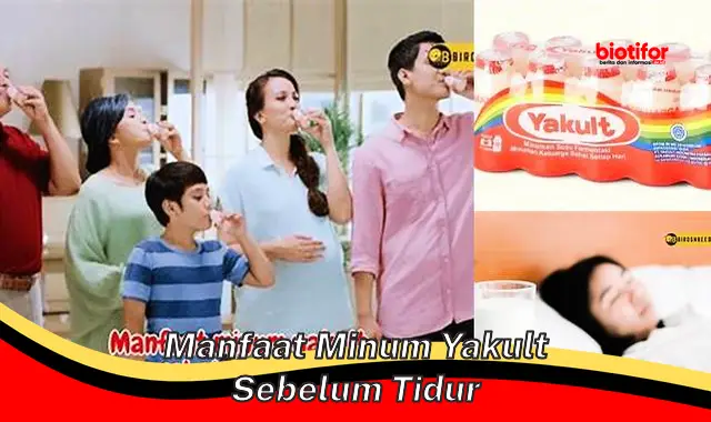 manfaat minum yakult sebelum tidur