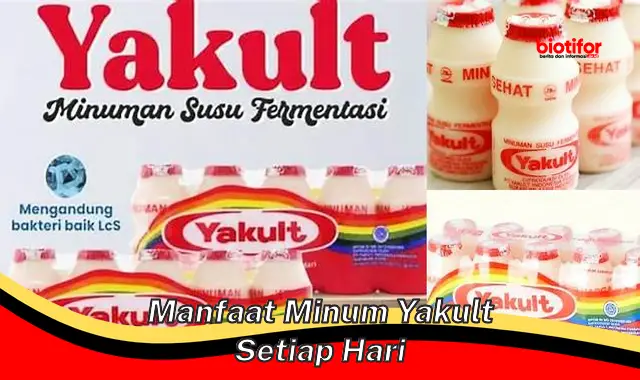 manfaat minum yakult setiap hari