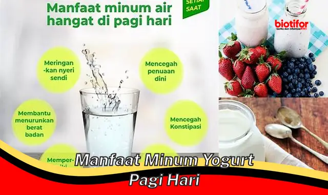 manfaat minum yogurt pagi hari