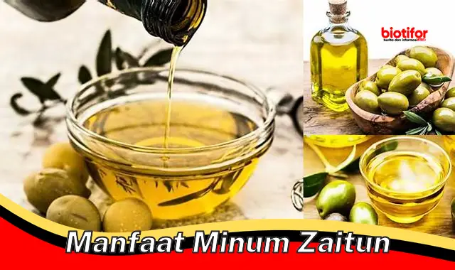 manfaat minum zaitun