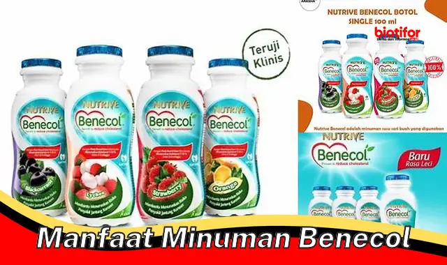 manfaat minuman benecol