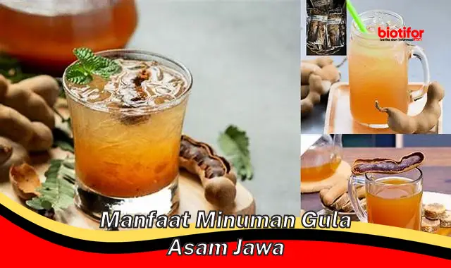 manfaat minuman gula asam jawa