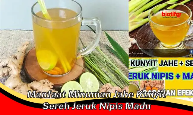 Temukan 5 Manfaat Ramuan Jahe Kunyit Sereh Jeruk Nipis Madu yang Jarang Diketahui