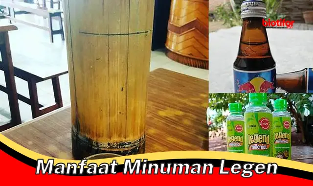 manfaat minuman legen