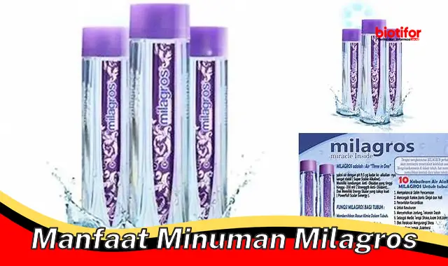 manfaat minuman milagros