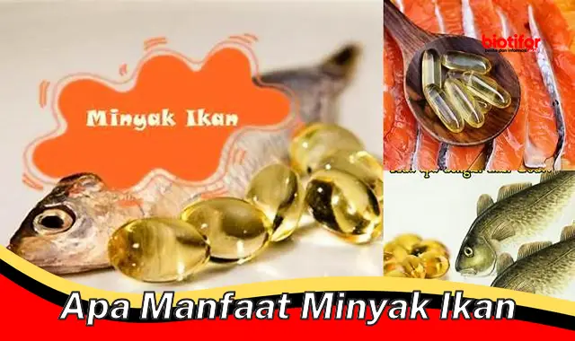 apa manfaat minyak ikan