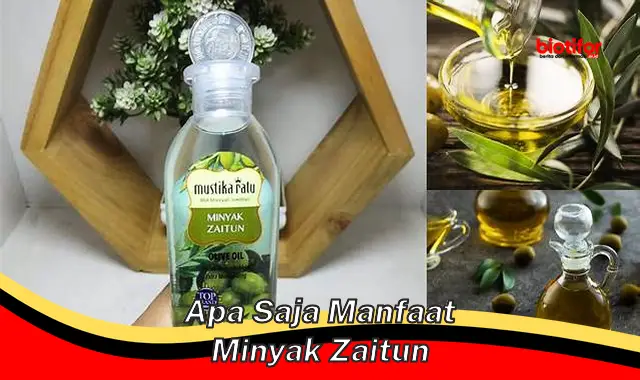 apa saja manfaat minyak zaitun