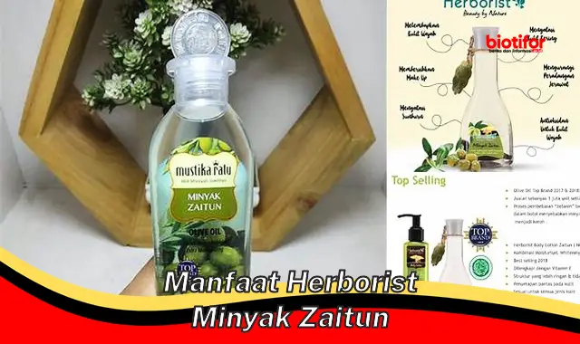 manfaat herborist minyak zaitun