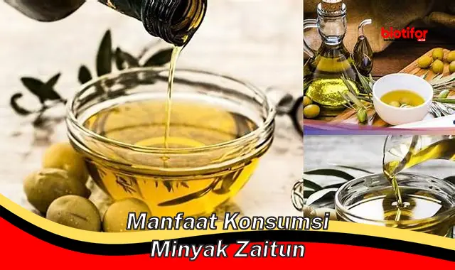 manfaat konsumsi minyak zaitun