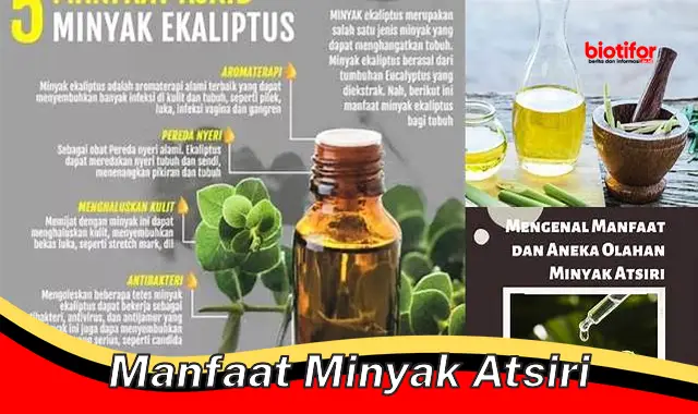 manfaat minyak atsiri