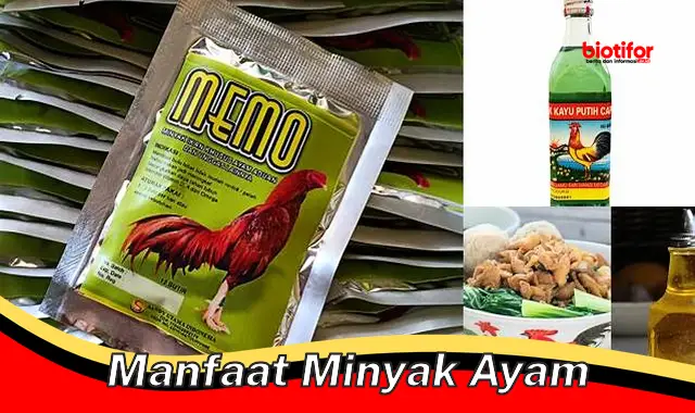 Temukan 5 Manfaat Minyak Ayam yang Jarang Diketahui