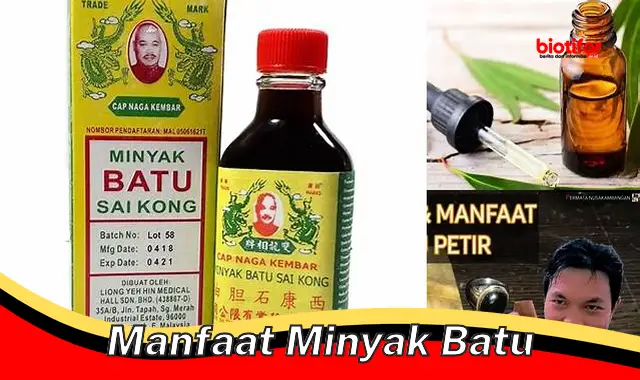 Temukan 5 Manfaat Minyak Batu yang Perlu Diketahui