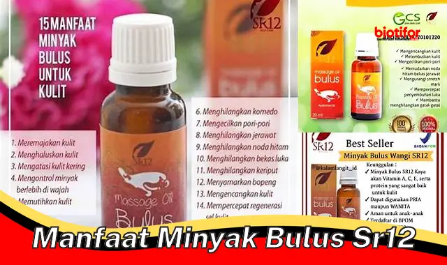 manfaat minyak bulus sr12