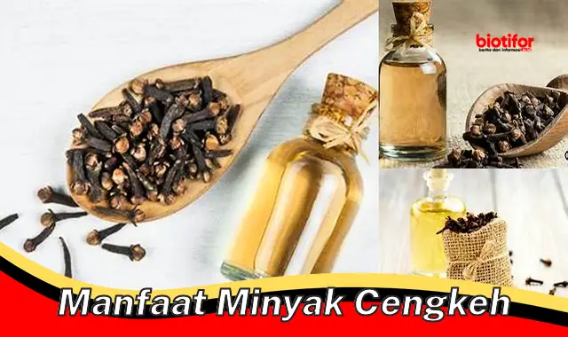 Temukan Manfaat Minyak Cengkeh yang Jarang Diketahui