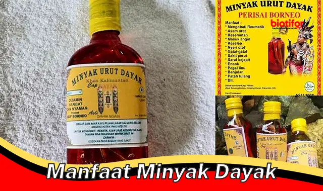 manfaat minyak dayak