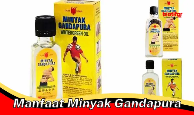 manfaat minyak gandapura