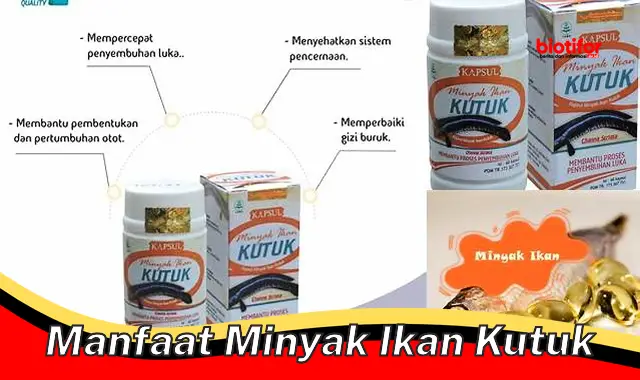 manfaat minyak ikan kutuk