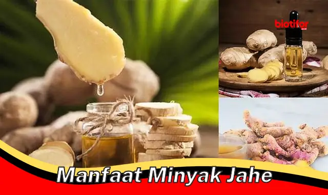 Temukan Manfaat Minyak Jahe yang Jarang Diketahui