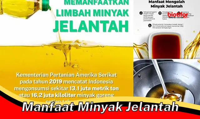 Temukan Manfaat Minyak Jelantah yang Jarang Diketahui