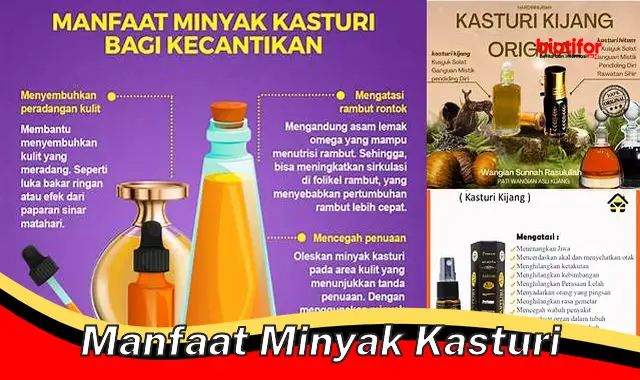 manfaat minyak kasturi