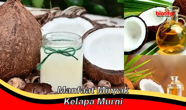 manfaat minyak kelapa murni