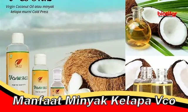 manfaat minyak kelapa vco