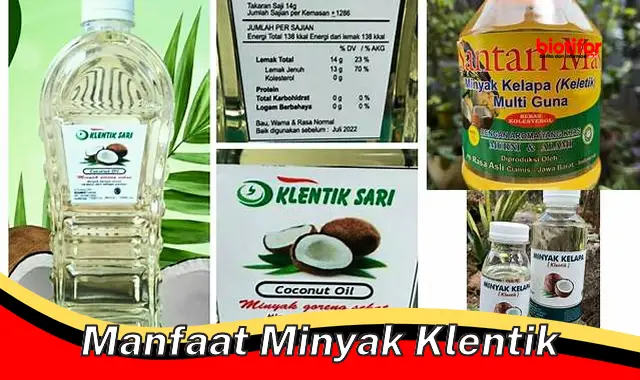 manfaat minyak klentik