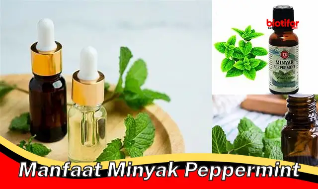 manfaat minyak peppermint