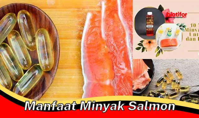 manfaat minyak salmon