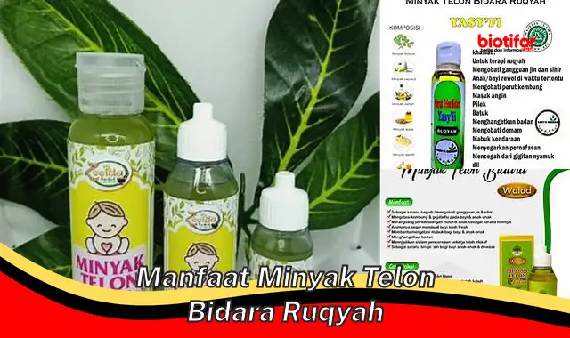 manfaat minyak telon bidara ruqyah