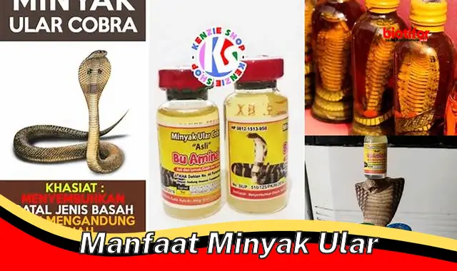 manfaat minyak ular