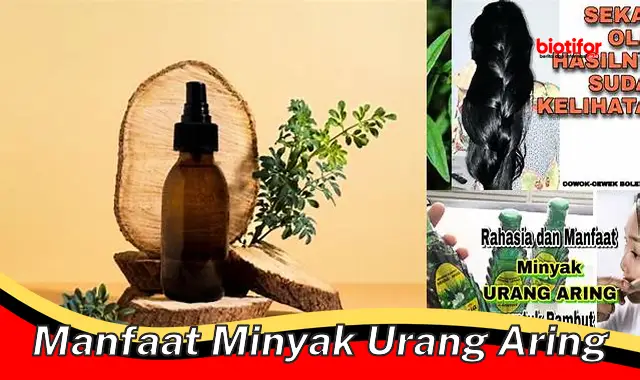 Temukan Manfaat Minyak Ulang Aring yang Perlu Diketahui