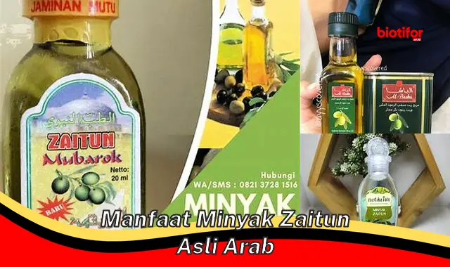 manfaat minyak zaitun asli arab