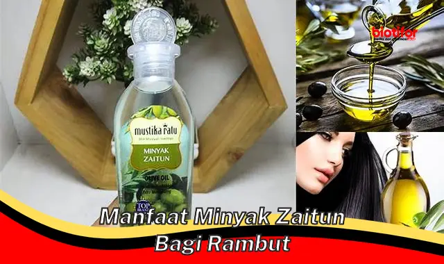 manfaat minyak zaitun bagi rambut