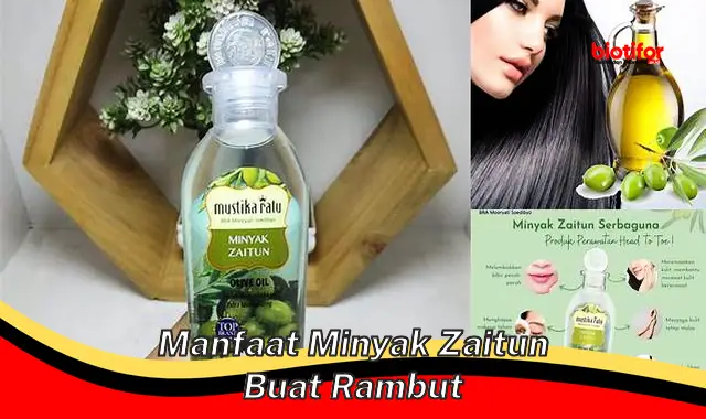 manfaat minyak zaitun buat rambut