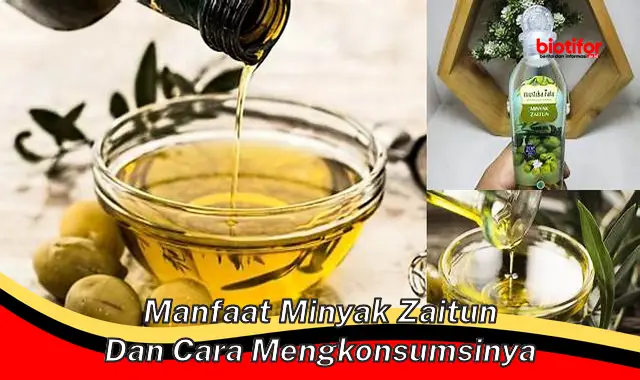 manfaat minyak zaitun dan cara mengkonsumsinya